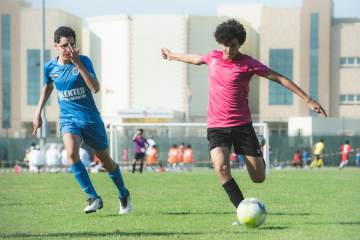 2026世界杯48强巡礼·波黑：龙骑士的归途，四十岁传奇还能燃烧多久？（配图示意）